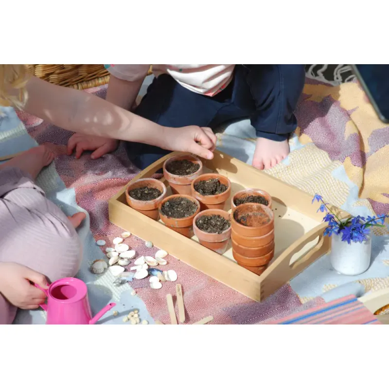 Pangea montessori-brett